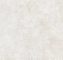 Pale Beige