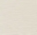 Creamy Beige