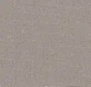 Desert Sand