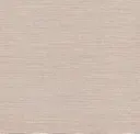 Safari