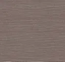 Mocha