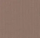 Mocha