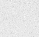 Snow Grey
