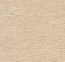 Maize