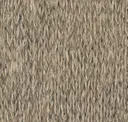 Bark