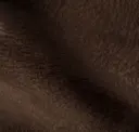 Dutch Cocoa