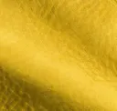 Daffodil Yellow