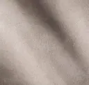 Silver Dollar