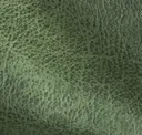 Pine