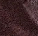 Black Currant