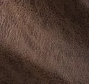 Stout