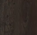 Bison