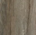 Hoot