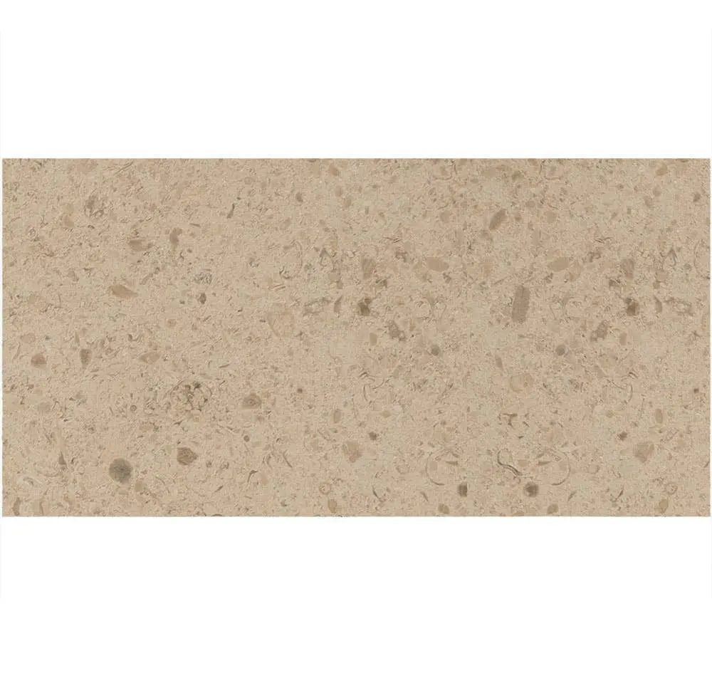Main