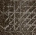 Warm Neutral