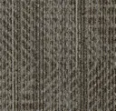 Warm Neutral