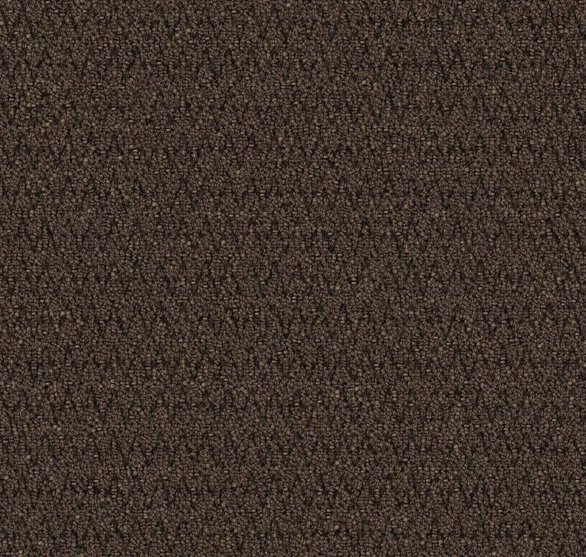Main