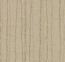 Scribbly Gum