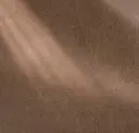 Burlap