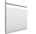 Arctic White