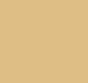 Plain Naples Yellow