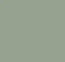 Plain Olive Green