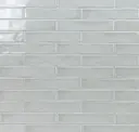 Chameleon