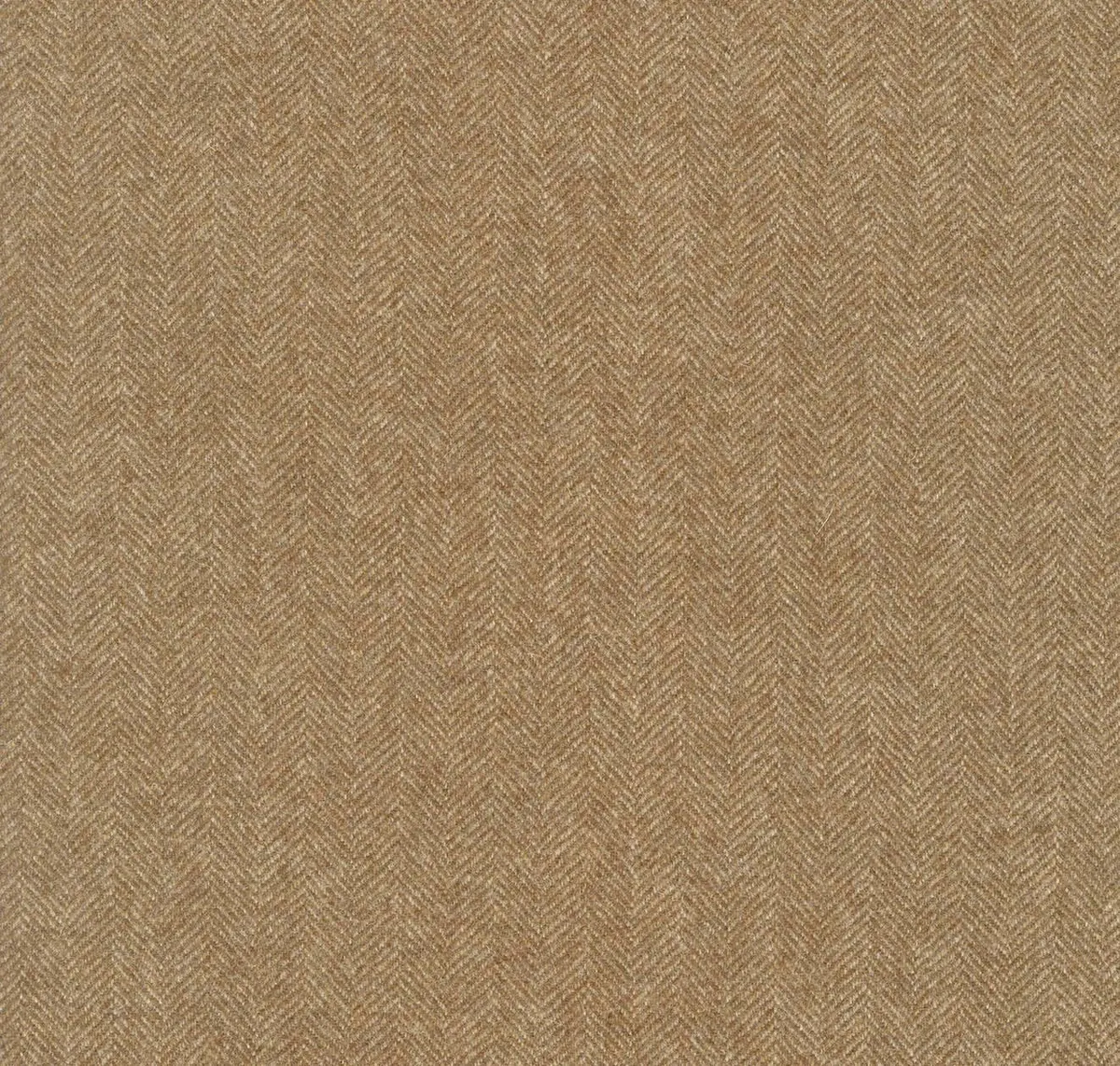 Main