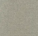 Gull Grey