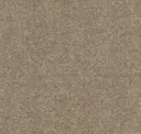 Mocha
