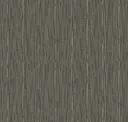 Perforated Tin