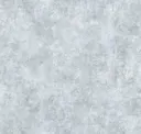 Carbon