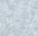 Arctic