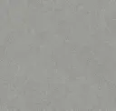 Iron