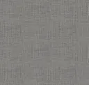 Coal