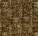 Bermuda Bronze