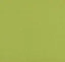 Wasabi