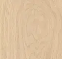 Wine Barrel