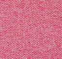 12 Fuchsia