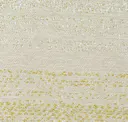 Pistacchio Recto/verso