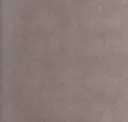Pebble