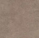 Pebble