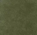 Pesto