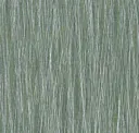 Palm