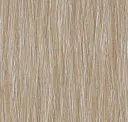 Reed