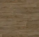 Palomino