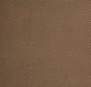 Saddle Brown