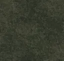 Chameleon