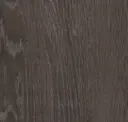 Fossil