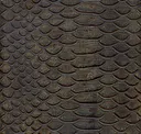 Grey Ghana